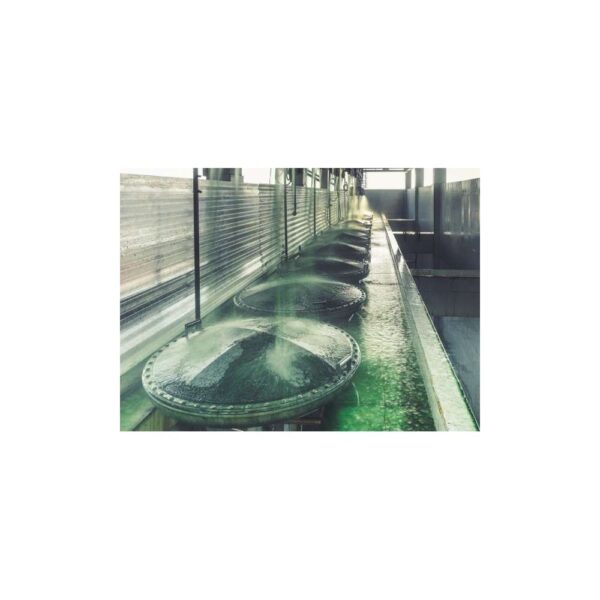 Chlorella Farm
